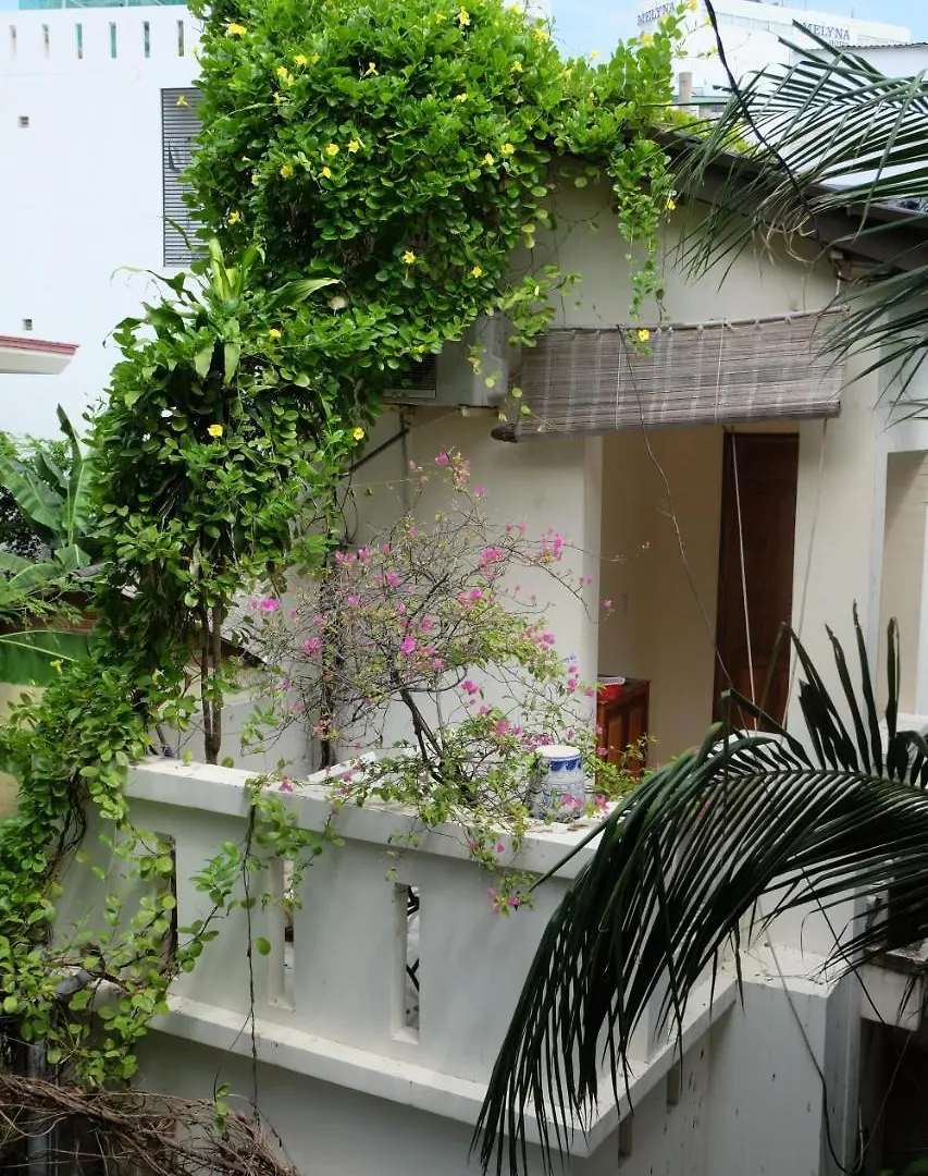 Moon House Tropical Garden - Lavender Hotel Nha Trang Gæstehus