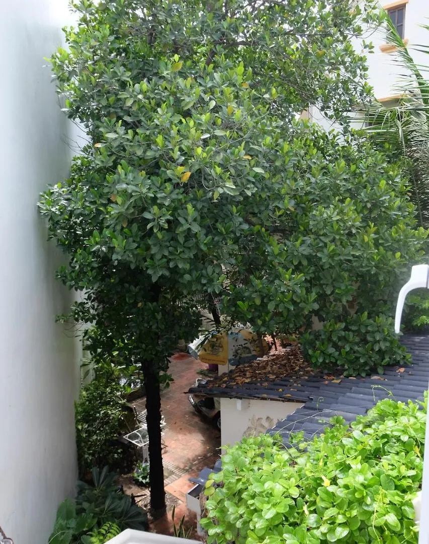Гостевой дом Отель Moon House Tropical Garden - Lavender Нячанг Вьетнам