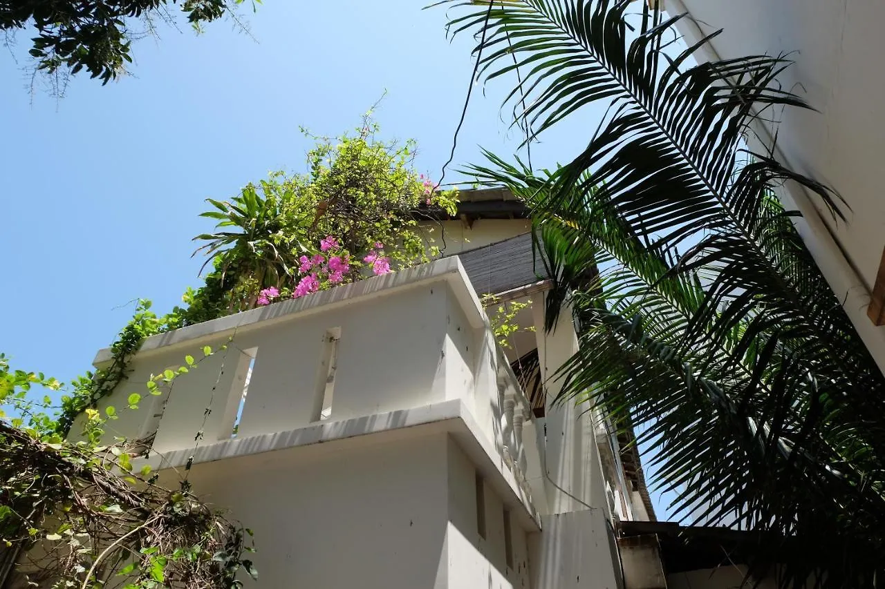 Отель Moon House Tropical Garden - Lavender Нячанг
